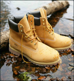 yellow-boot-timberland